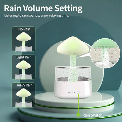 RAINDROP HUMIDIFIER/DIFFUSER