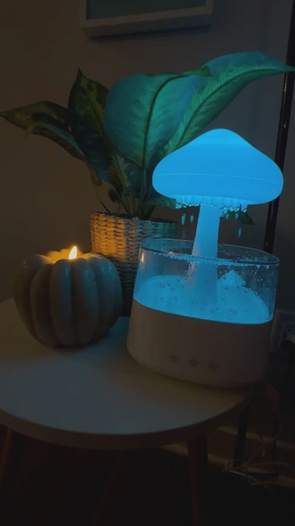 RAINDROP HUMIDIFIER/DIFFUSER